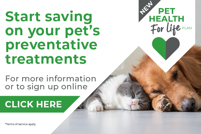 Start saving on your pet\'s preventative treatment